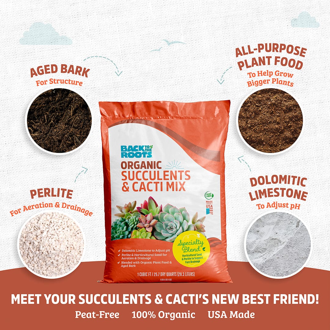 Organic Specialty Blend Succulents & Cacti Mix 1 cu.ft. - Image 4