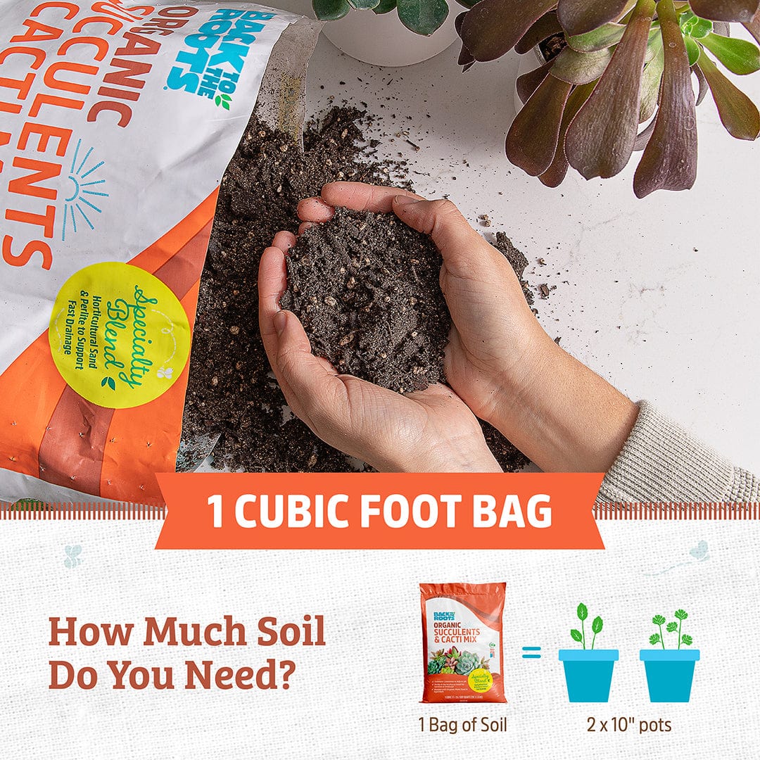 Organic Specialty Blend Succulents & Cacti Mix 1 cu.ft. - Image 5