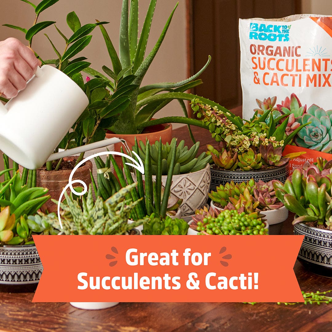 Organic Specialty Blend Succulents & Cacti Mix 1 cu.ft. - Image 6