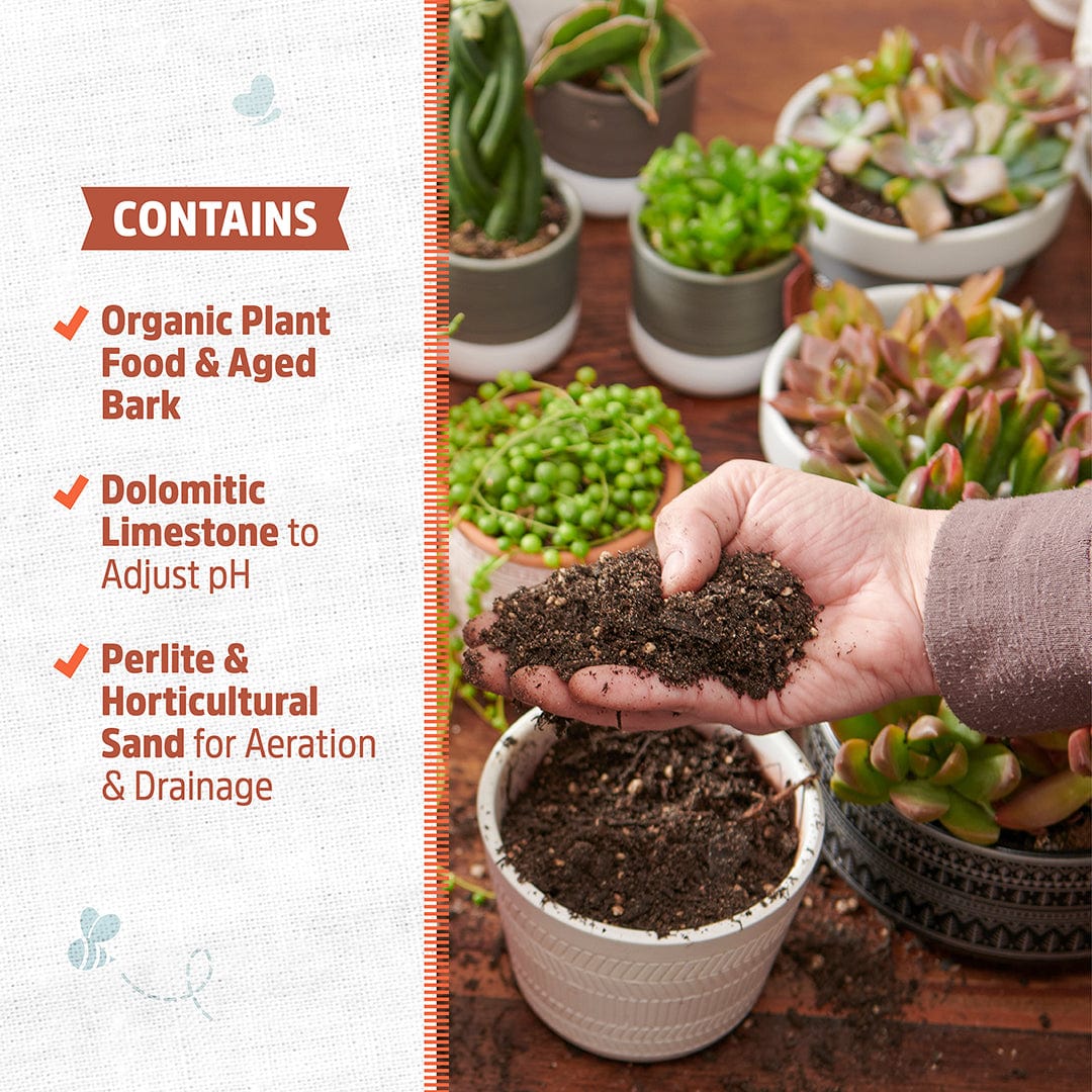 Organic Specialty Blend Succulents & Cacti Mix 1 cu.ft. - Image 7