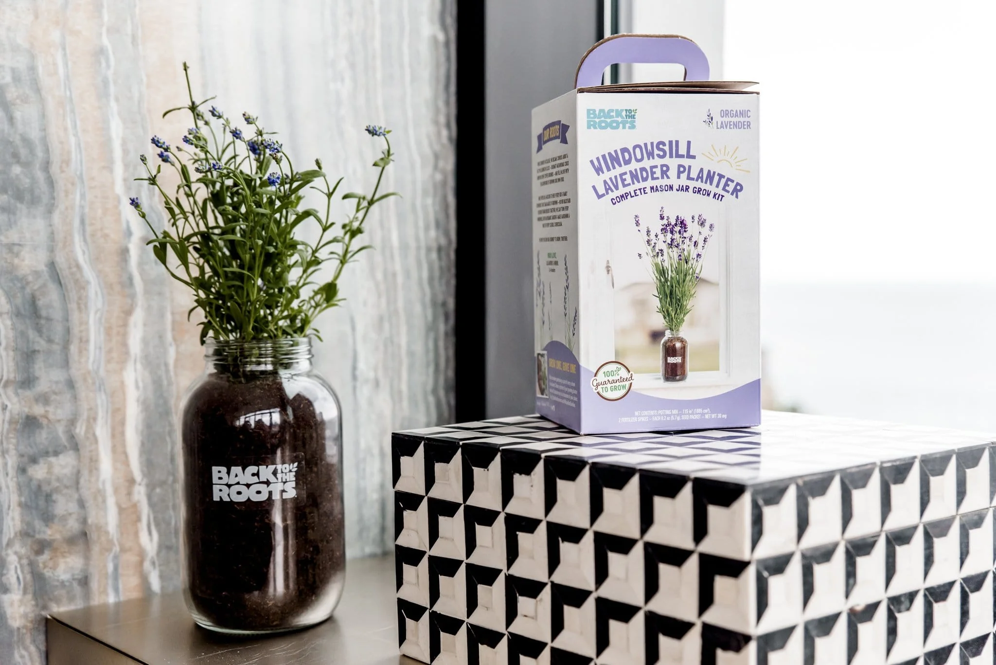 Buy 1 More Organic Lavender Windowsill Planter - Image 4
