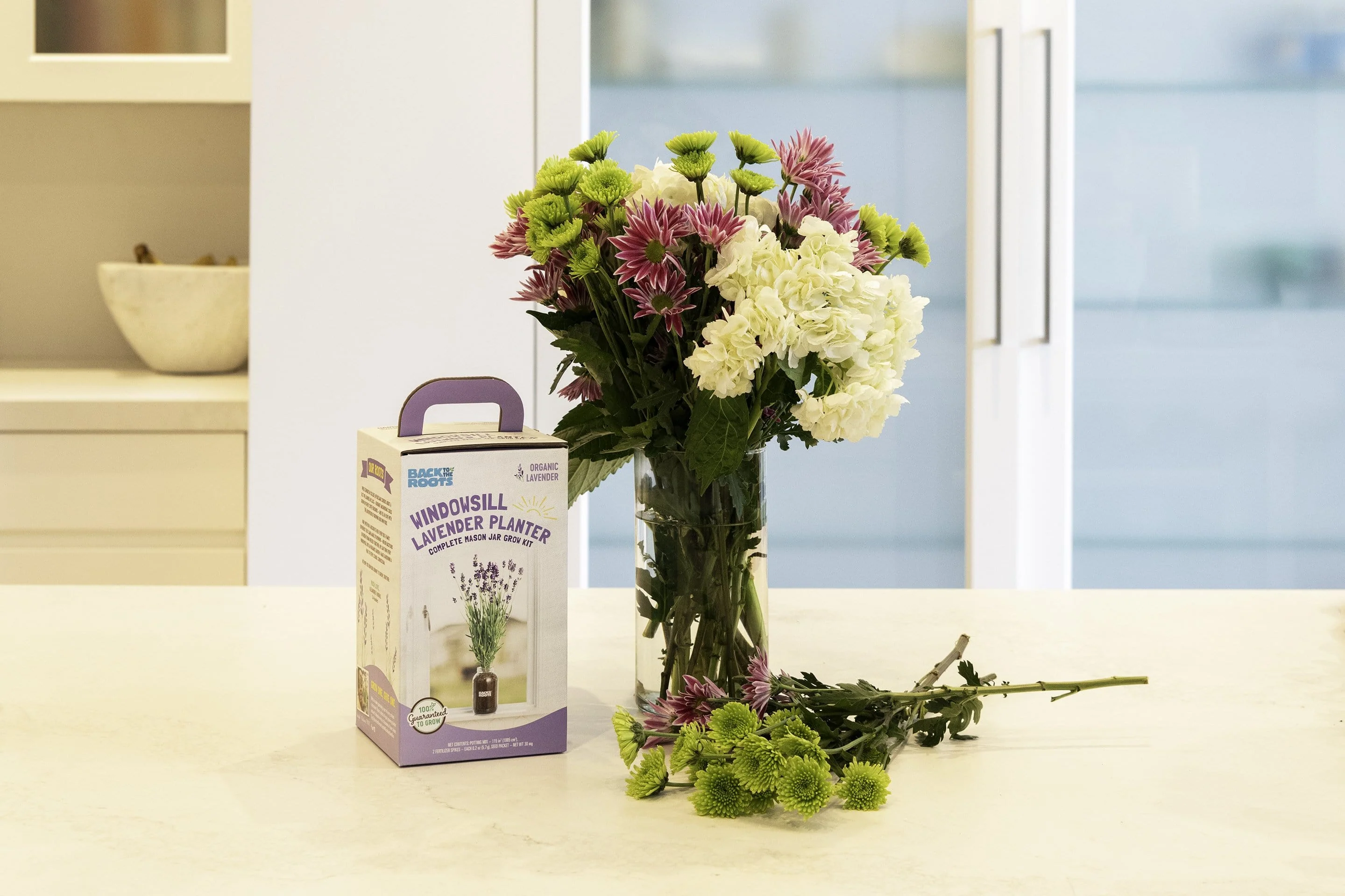Buy 1 More Organic Lavender Windowsill Planter - Image 7