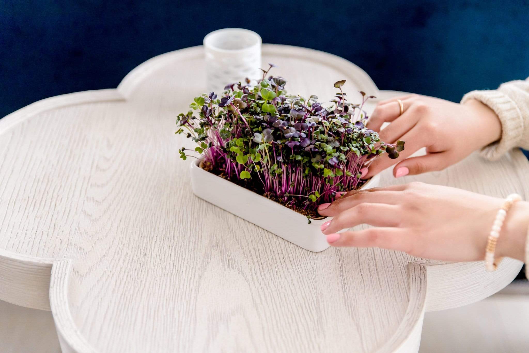 Ceramic Microgreen Grow Tray (no seeds, just planter tray) - Image 4