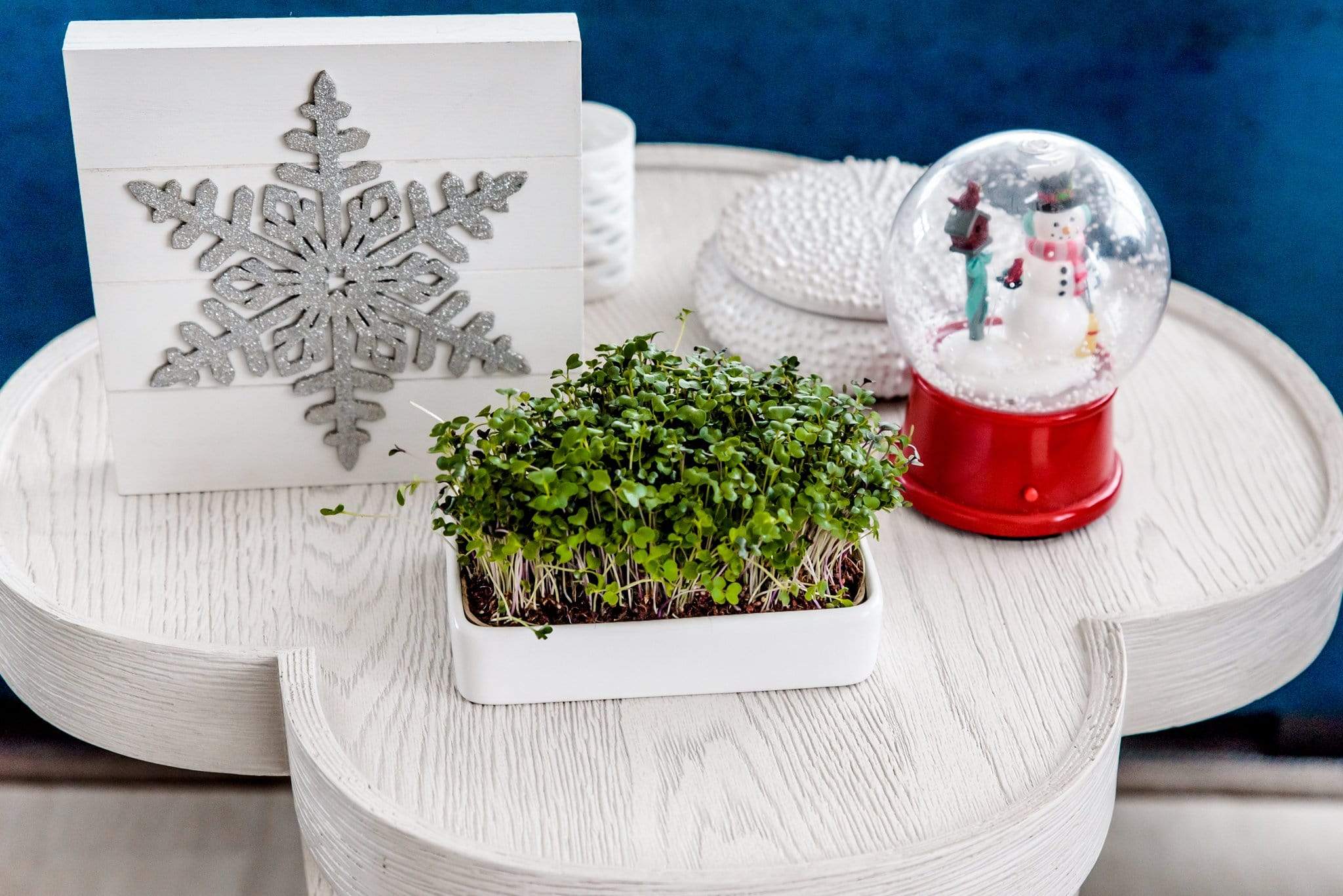 Ceramic Microgreen Grow Tray (no seeds, just planter tray) - Image 5