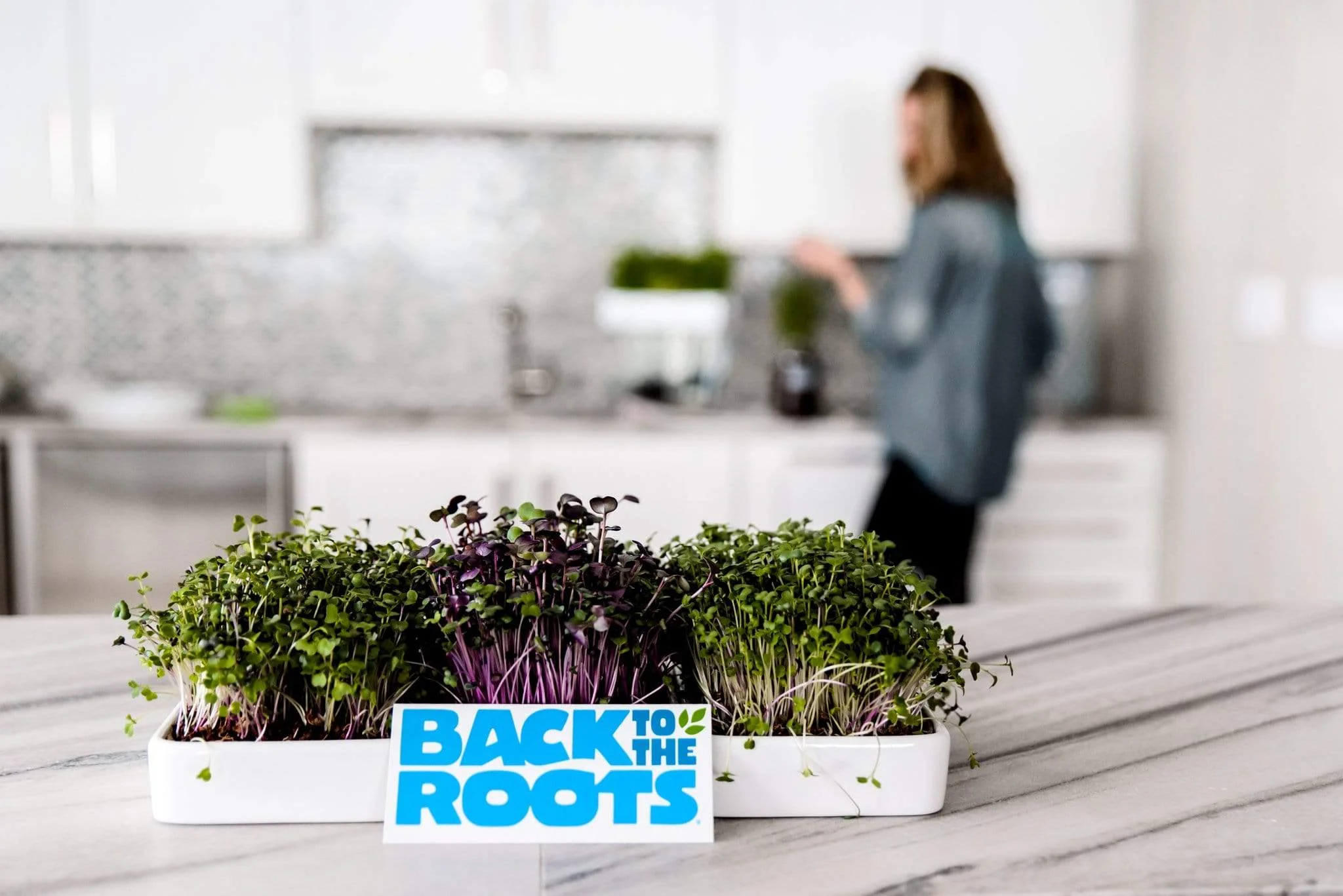 Ceramic Microgreen Grow Tray (no seeds, just planter tray) - Image 6