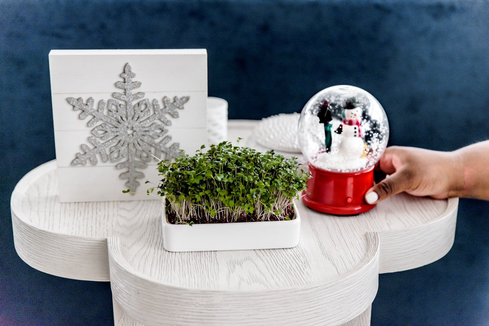 Ceramic Microgreens Planter, 3-Pack - Image 3