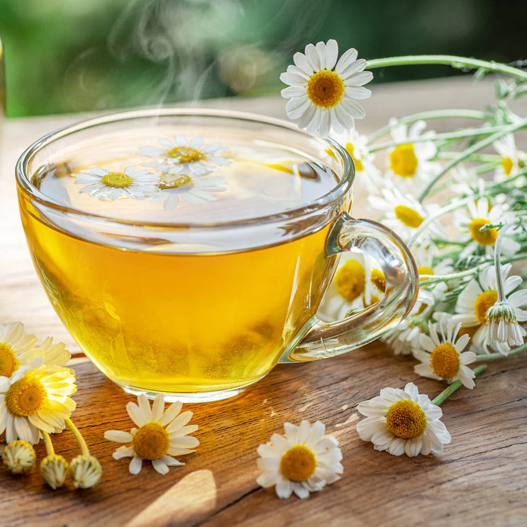 Organic Chamomile Seeds — 'German' - Image 7
