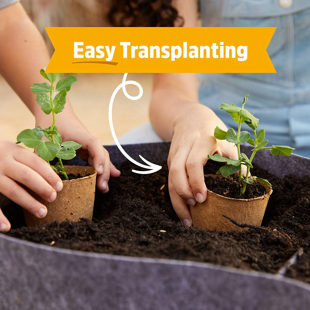 Kids Grow Kit 4-Pack Bundle: Terrarium and 3 Science Grow Kits 🎁 - Image 11