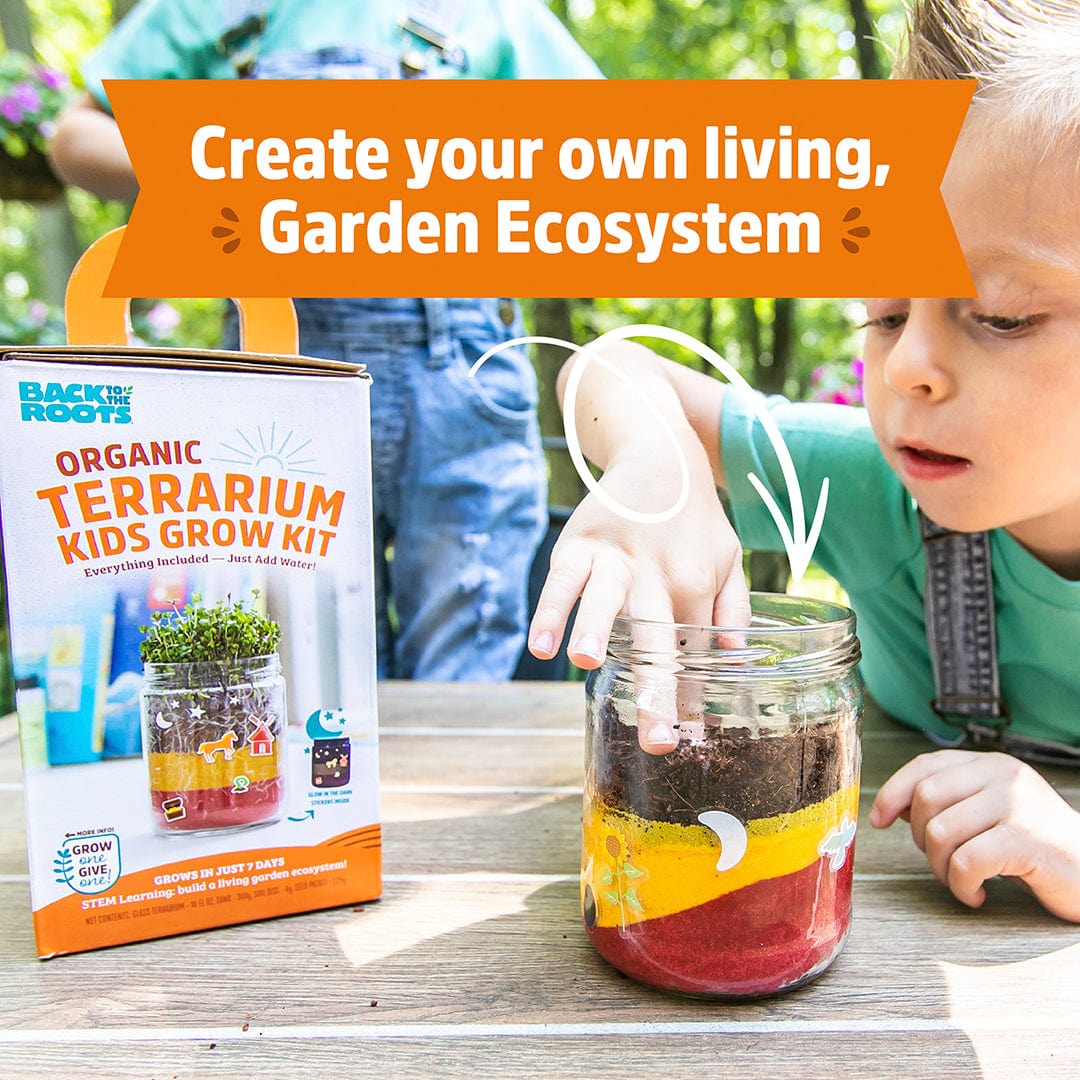 Kids Grow Kit 4-Pack Bundle: Terrarium and 3 Science Grow Kits 🎁 - Image 6