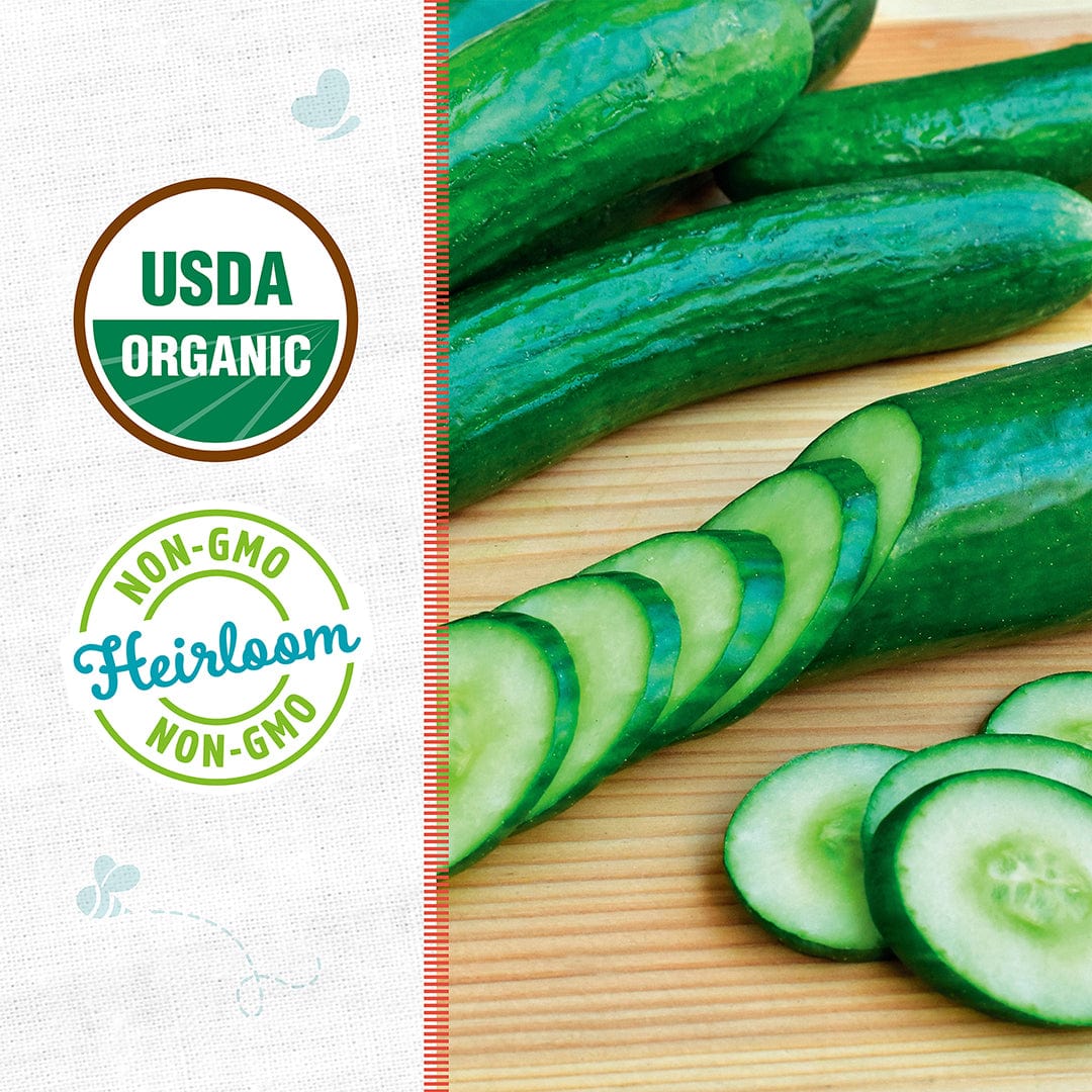 Organic Cucumber Seeds — 'Slicing • Muncher' - Image 2