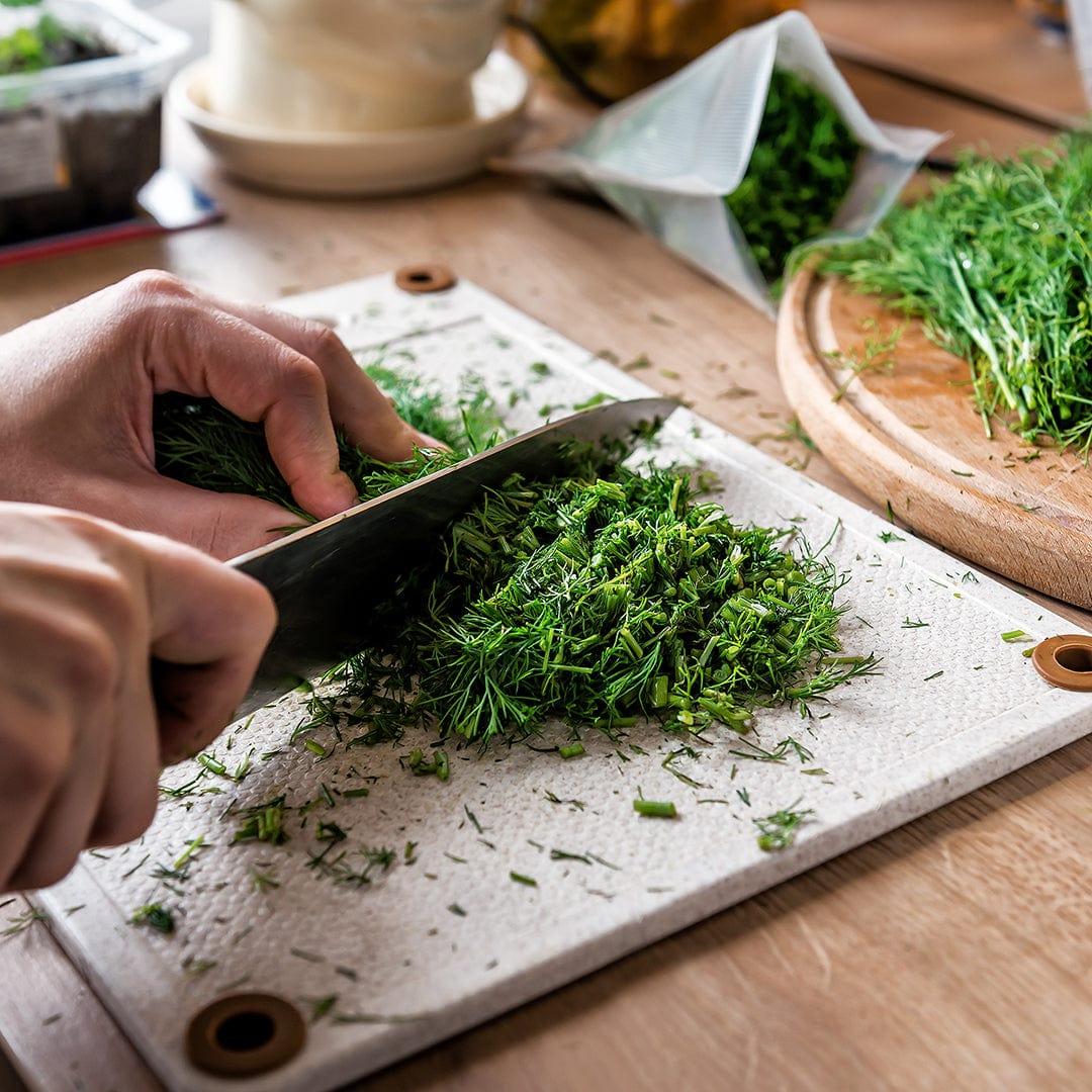Organic Dill Seeds — 'Mammoth' - Image 7