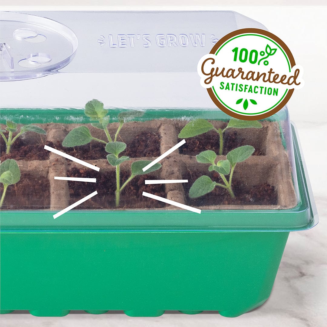 Greenhouse Germination Kit (Organic & Plantable, 10-Cell Tray) - Image 7