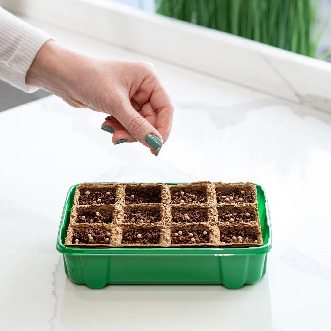 Greenhouse Germination Refill Kit - Image 6
