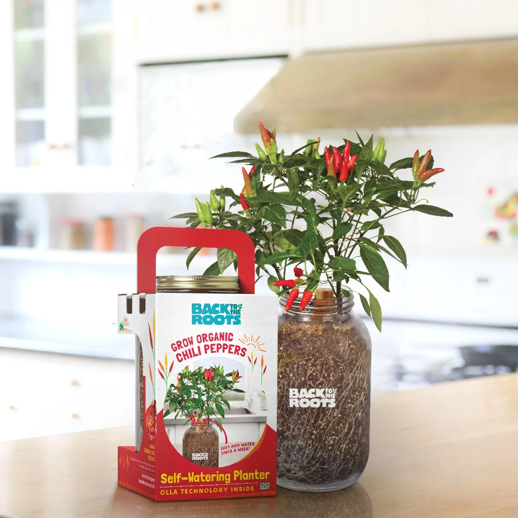 The Indoor Gardening Essentials - Herb, Veggies and Mushrooms 6-Plant Bundle (Save $20) - Image 4