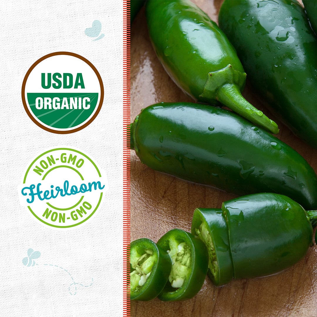 Organic Jalapeño Pepper Seeds - Image 2