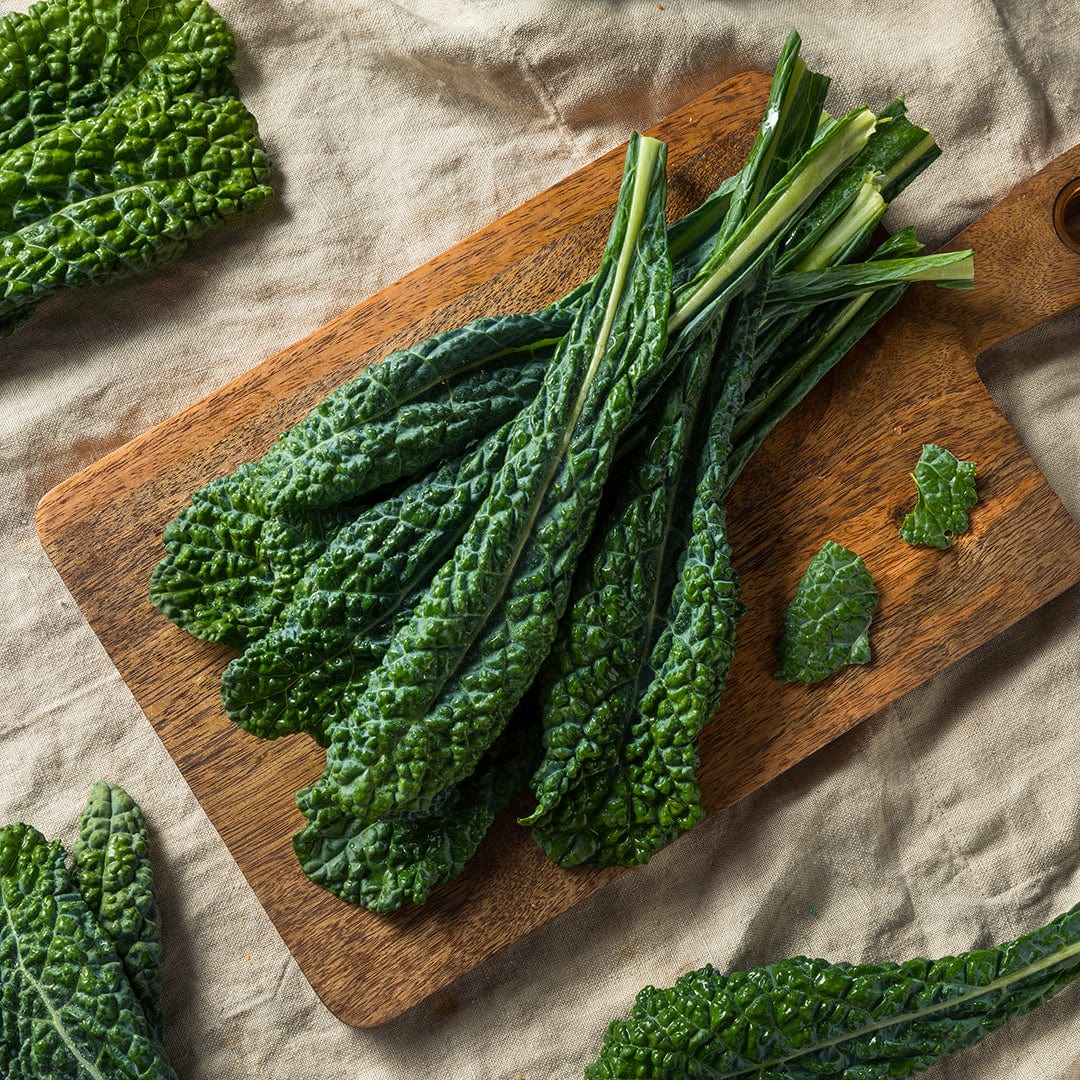 Organic Kale Seeds — 'Lacinato/Dinosuar' - Image 6