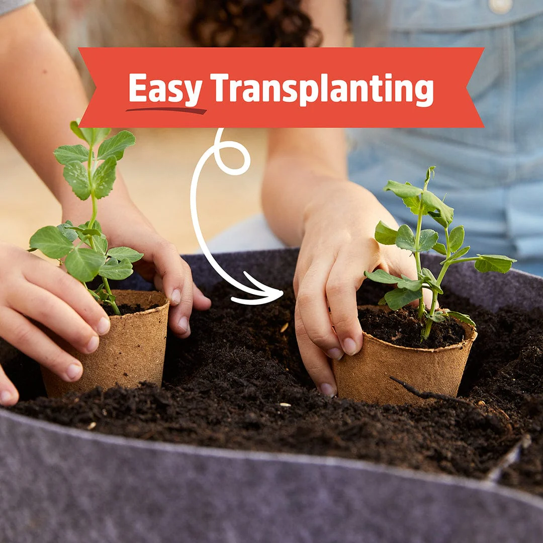 Kids Science Grow Kit Variety 3pk - Image 5