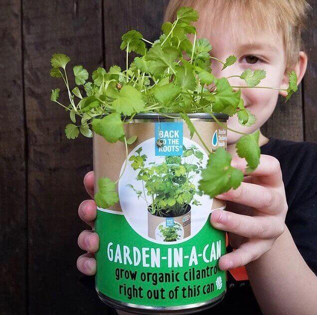 Kitchen Herb Garden - Basil, Mint, Cilantro 3-Pack 🌿 - Image 9
