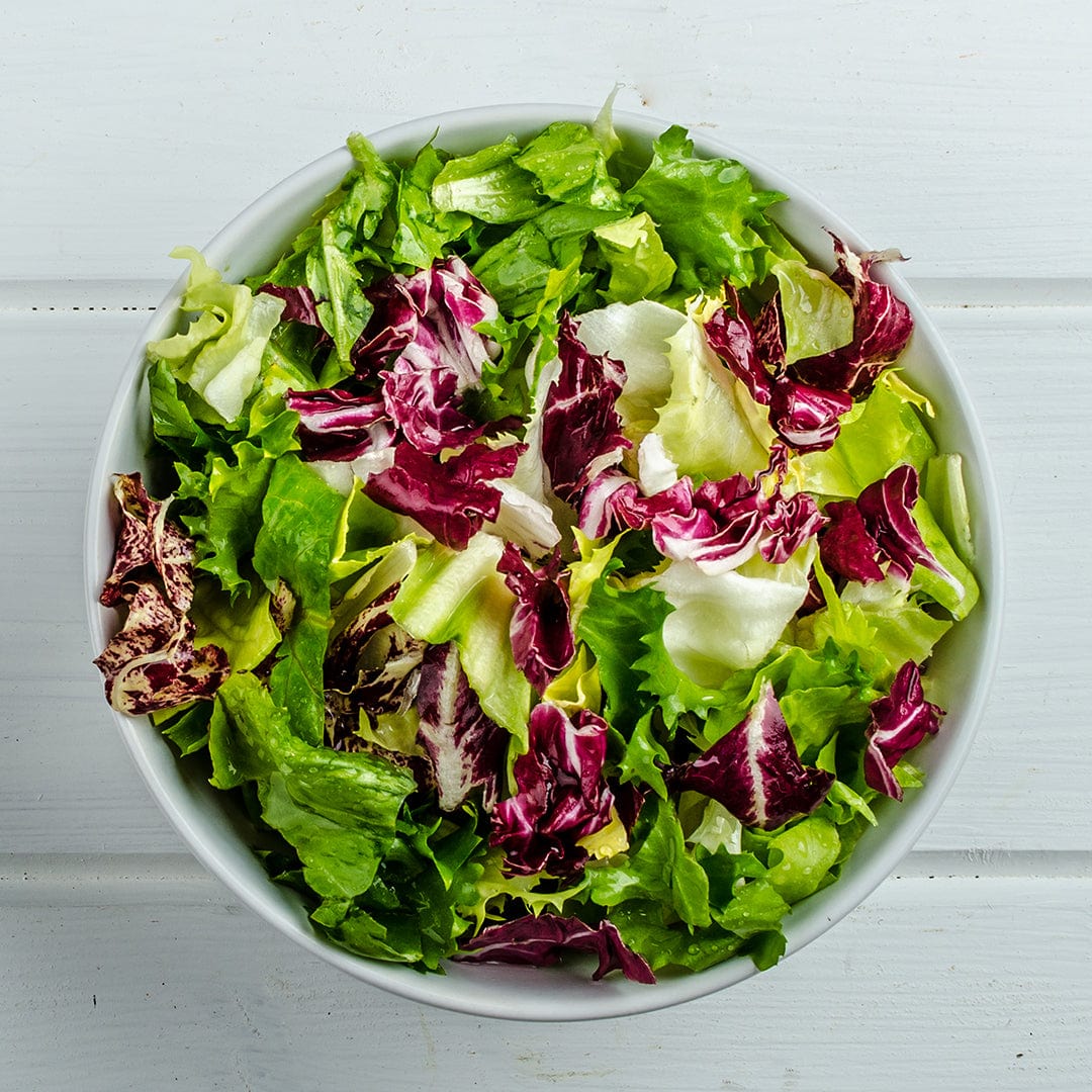 Organic Lettuce Seeds — 'Gourmet Blend' - Image 6