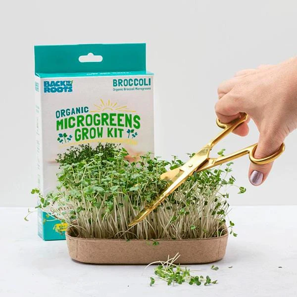 Microgreen Grow Kit - Trial Pack - Micro Broccoli - Image 2