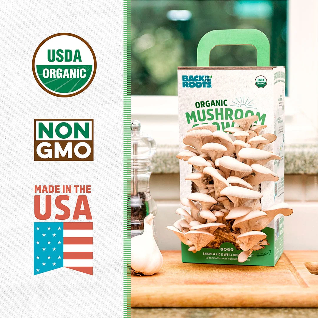 Organic Mushroom Grow Kit - Image 3