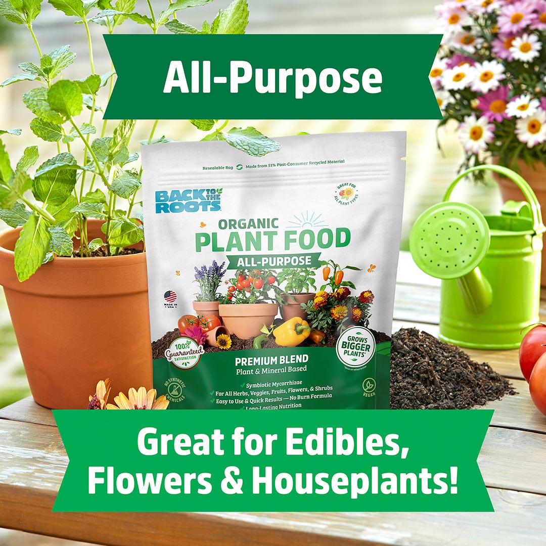 Natural & Organic ALL-PURPOSE Plant Food 2-Pack - Image 3