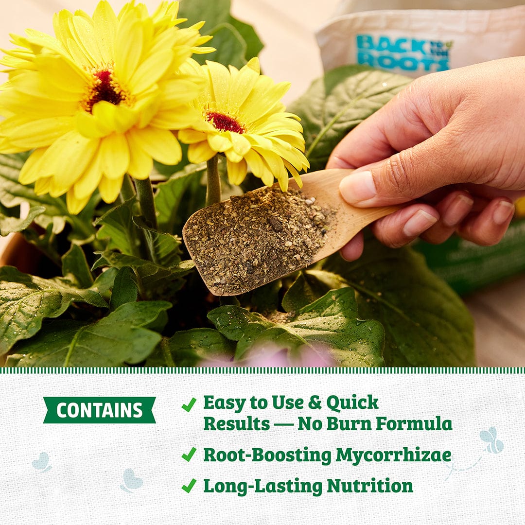Natural & Organic ALL-PURPOSE Plant Food 2-Pack - Image 4