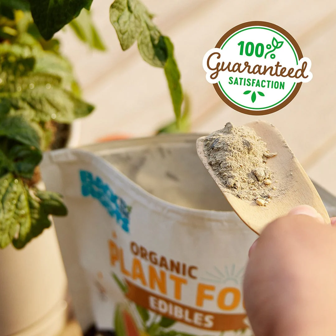 Natural & Organic EDIBLES Plant Food 2-Pack - Image 6