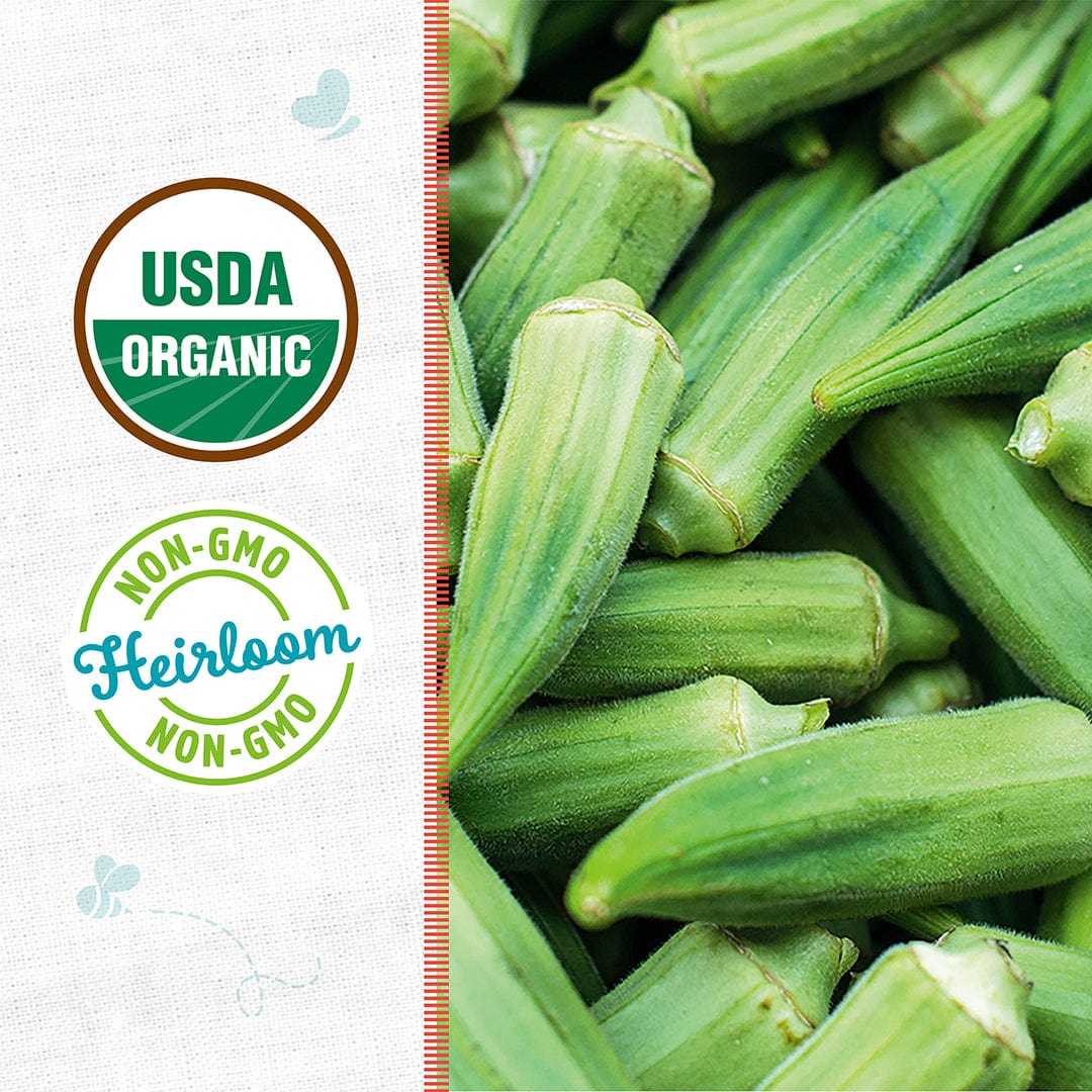 Organic Okra Seeds — 'Clemson Spineless' - Image 2