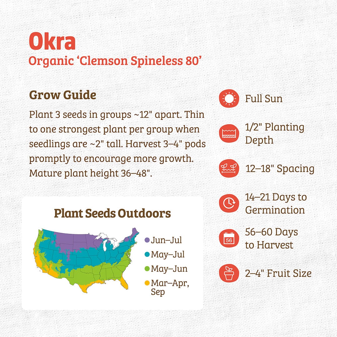 Organic Okra Seeds — 'Clemson Spineless' - Image 3