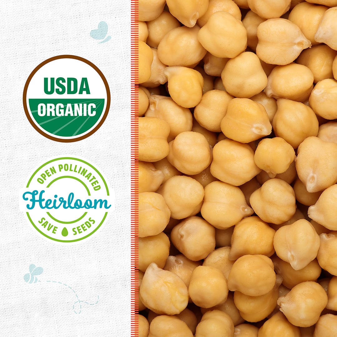 Organic Bean Seeds — 'Garbanzo' - Image 2