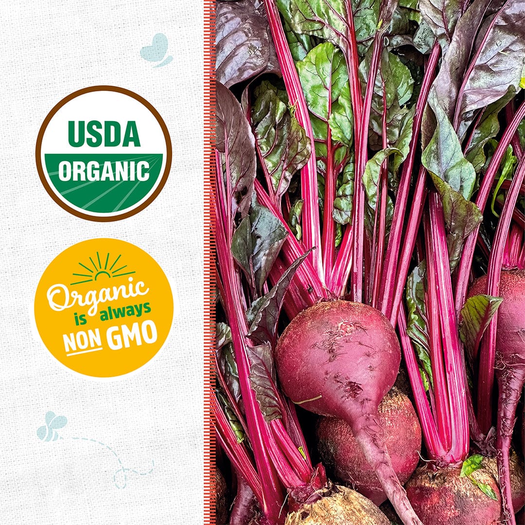 Organic Beet Seeds — 'Early Wonder Tall Top' - Image 2
