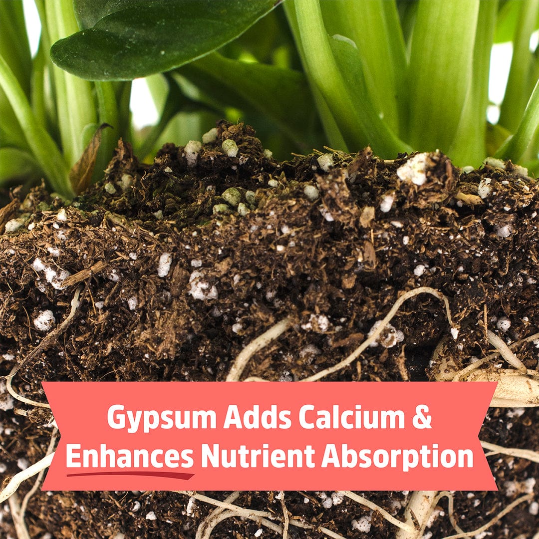 Organic Bone Meal with Gypsum (3lb) - Image 5