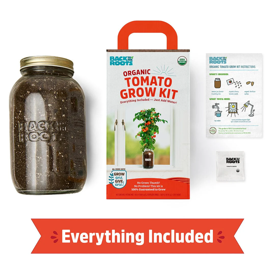 Organic Cherry Tomato Windowsill Planter (Complete Mason Jar Grow Kit) 🍅 - Image 4