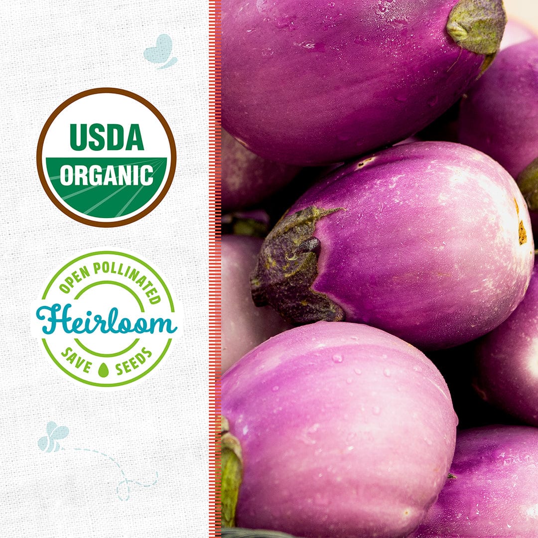 Organic Eggplant Seeds — 'Rosa Bianca' - Image 2