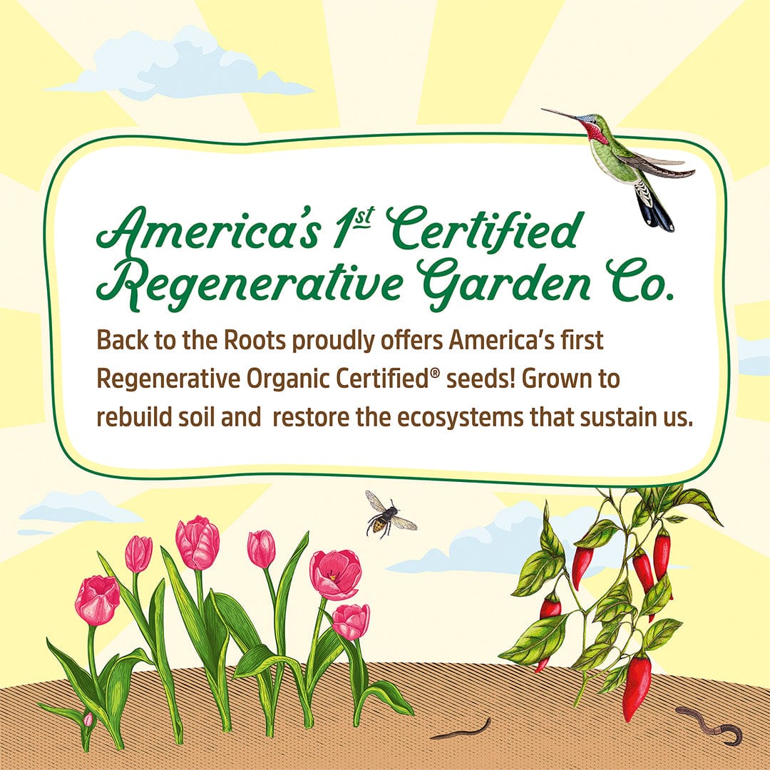 Regenerative Organic Certified® Dandelion Seeds - Image 3
