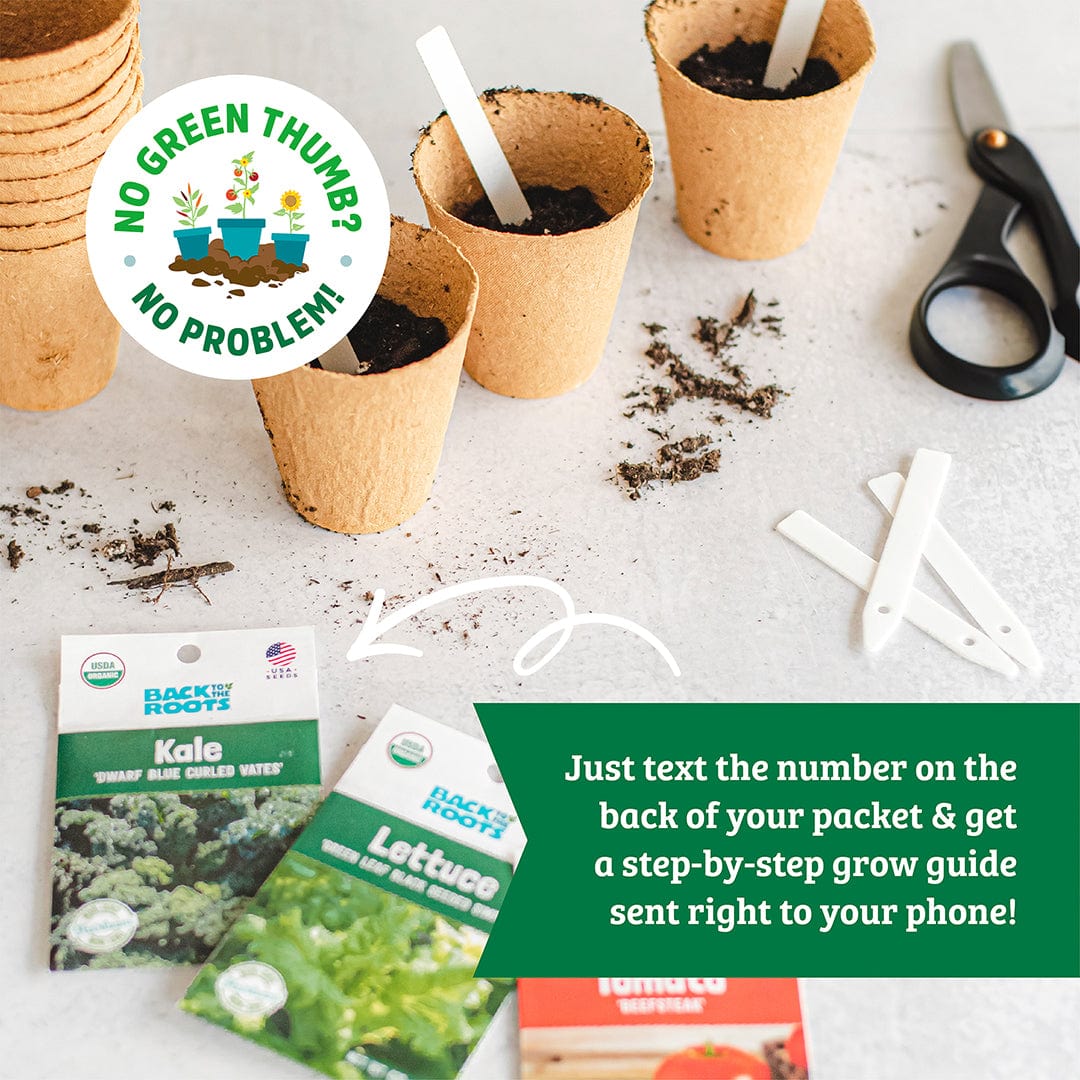 Organic Herb Garden 5-Pack Seed Bundle - Image 3