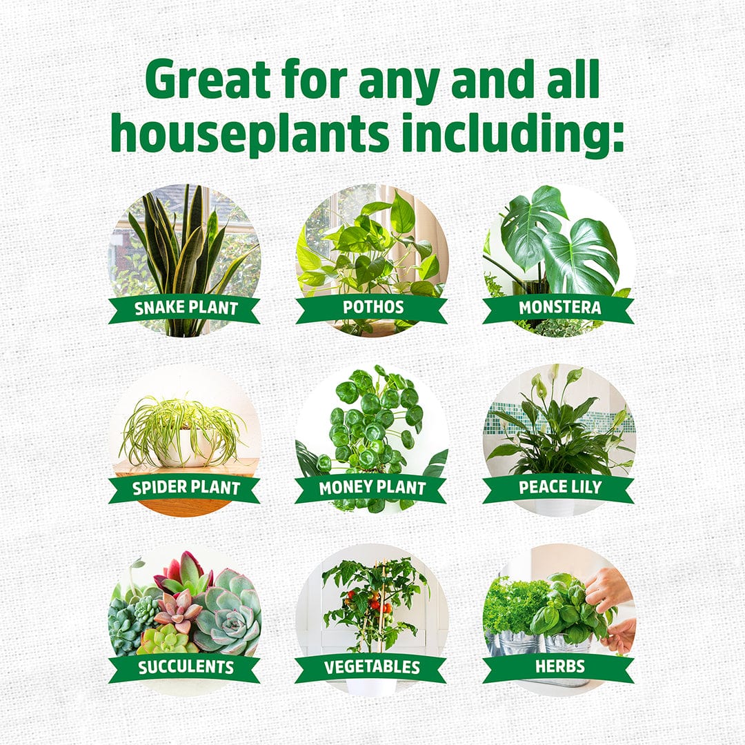 Organic Indoor Houseplant Plant Food - Image 6
