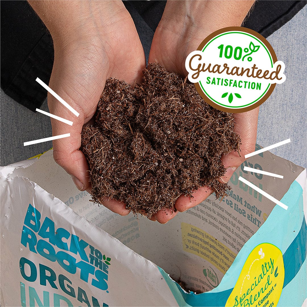 Organic Indoor Potting Mix Specialty Blend (6 QT) - Image 7