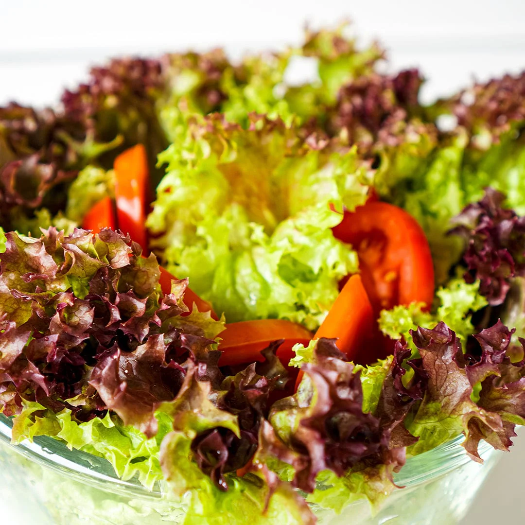 Organic Lettuce Seeds — 'Red Oak Leaf' - Image 6