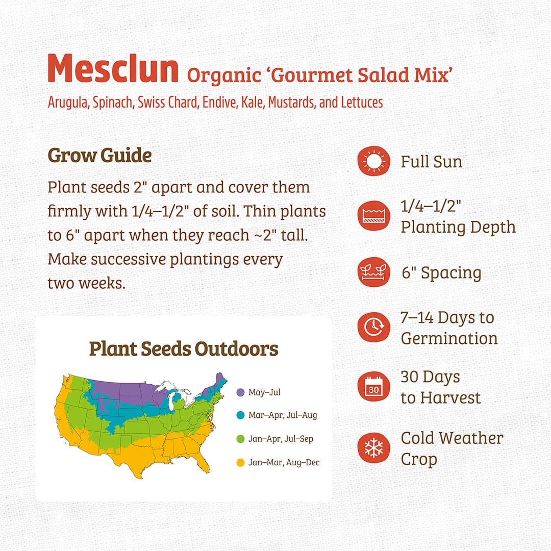 Organic Mesclun Seeds — 'Gourmet Salad Mix' - Image 4