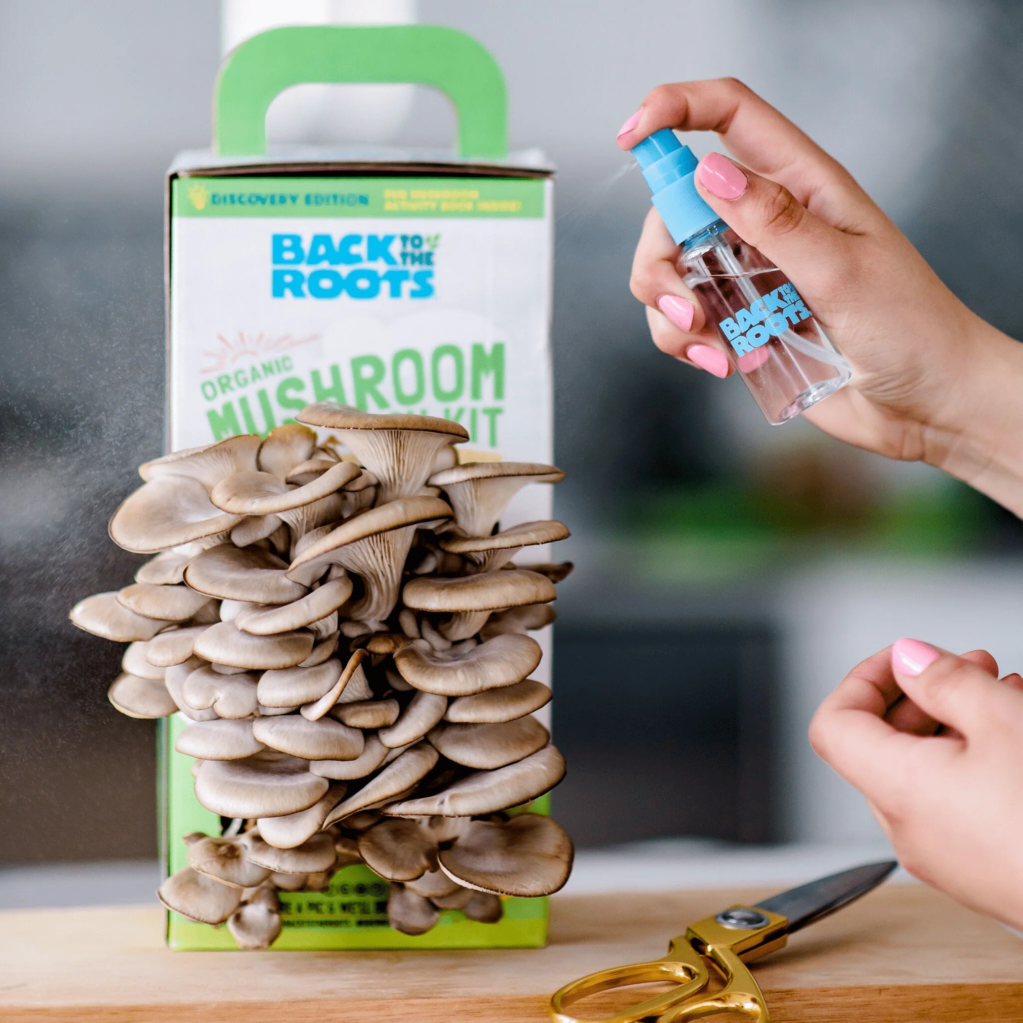 Organic Mushroom Grow Kit, 2-Pack - Image 5