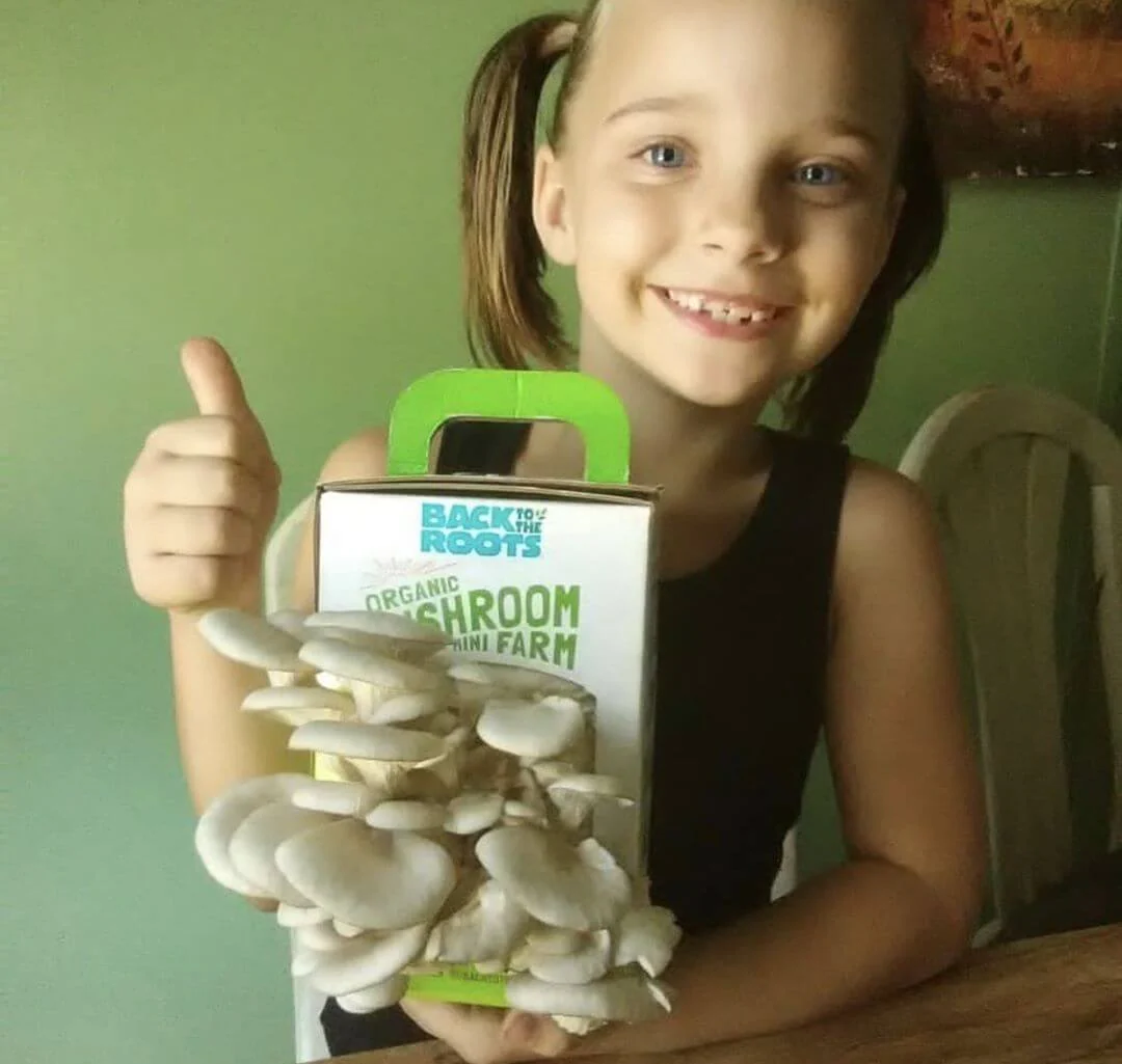 Organic Mushroom Grow Kit, Bulk 4-Pack (SAVE 20%) - Image 4