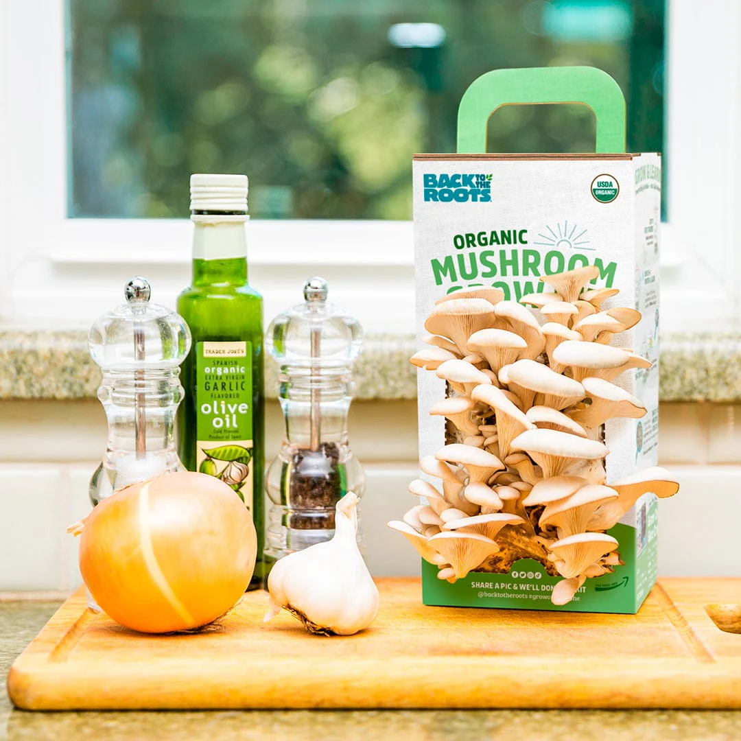 Organic Mushroom Grow Kit, Bulk 4-Pack (SAVE 20%) - Image 6
