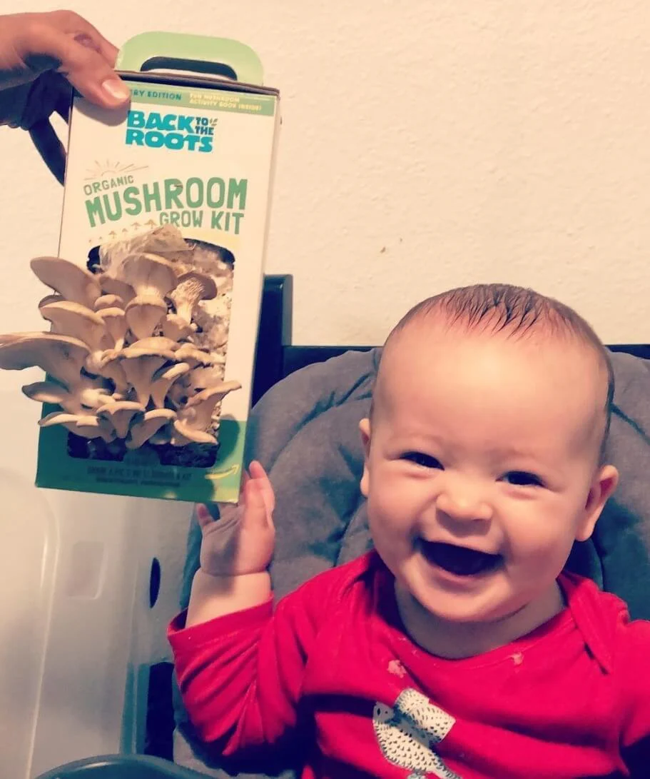 Organic Mushroom Grow Kit, Bulk 4-Pack (SAVE 20%) - Image 8