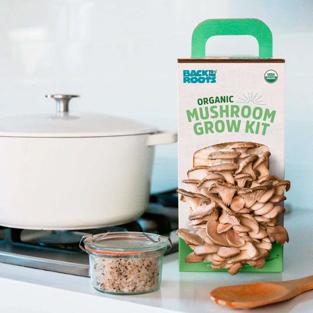Organic Mushroom Grow Kit Gifting Bundle 	🎁, Value 3-Pack - Image 7