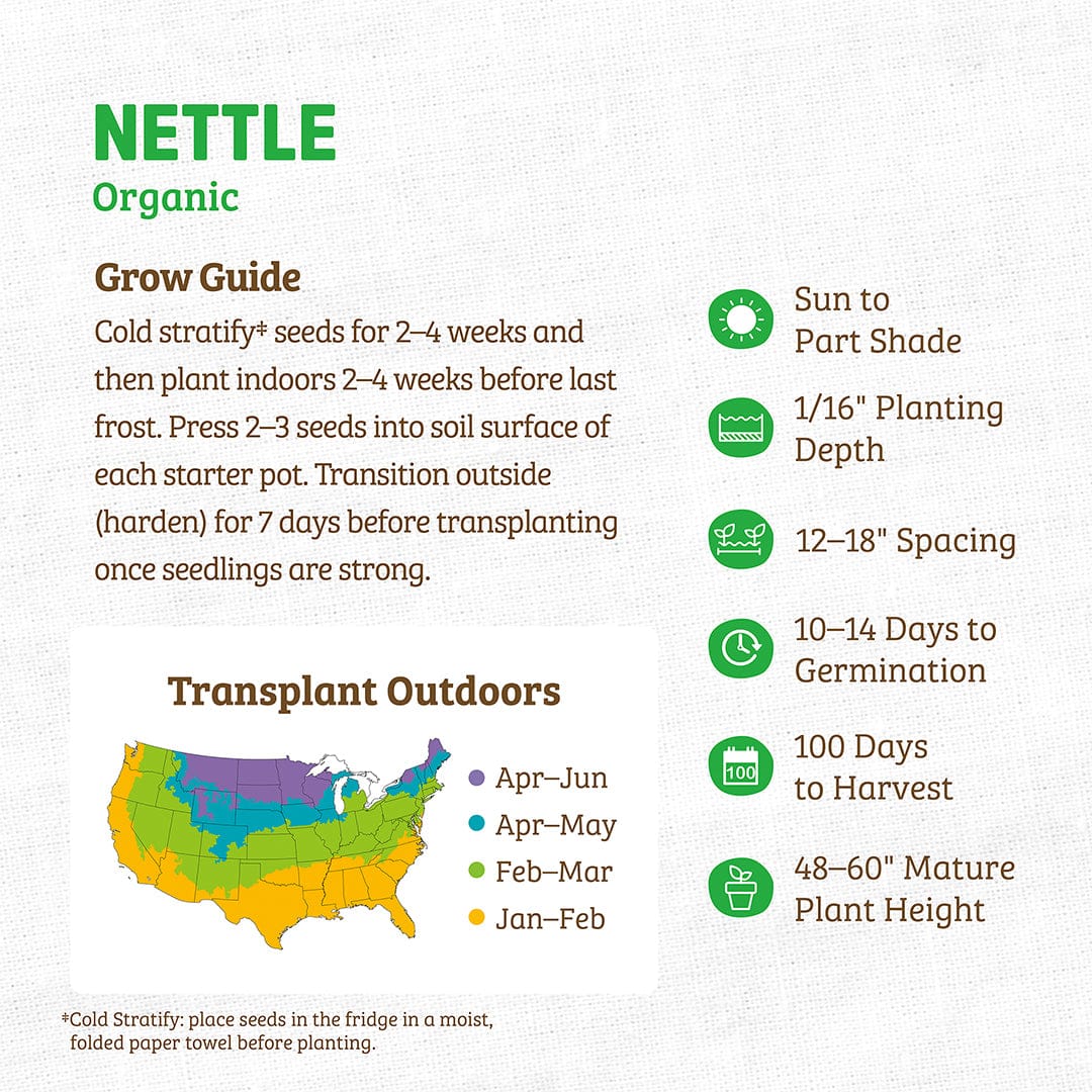 Regenerative Organic Certified® Nettle Seeds - Image 4