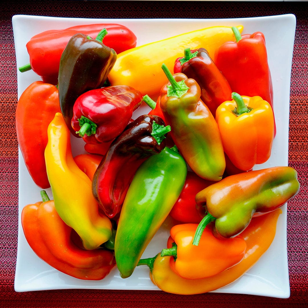Organic Pepper Medley 5-Pack Seed Bundle - Image 8