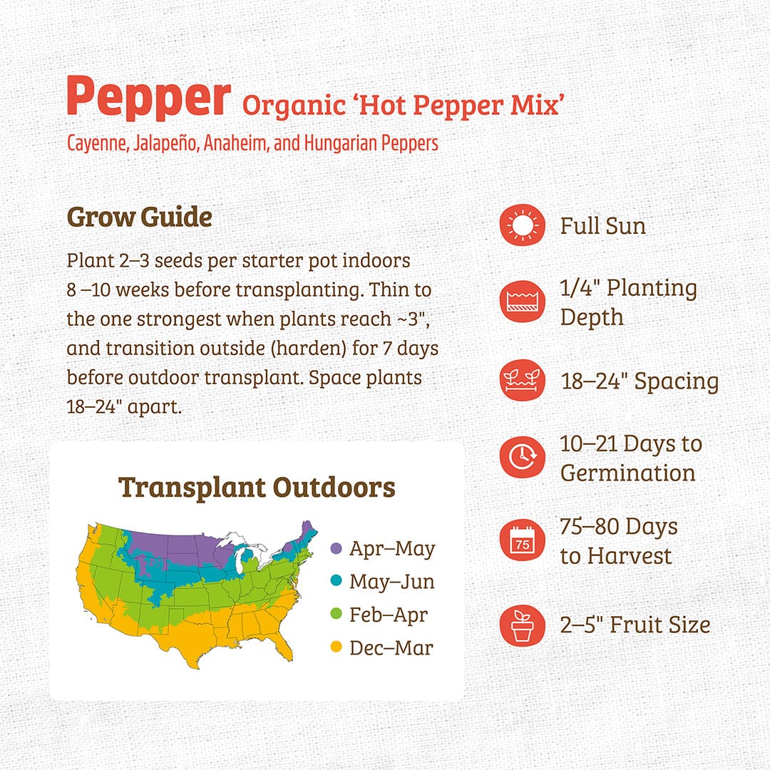 Organic Pepper Seeds — 'Hot Pepper Mix' - Image 3