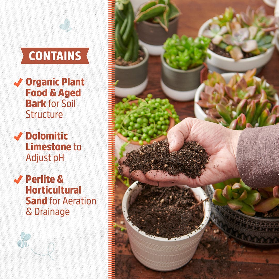 Organic Succulents & Cacti Mix Specialty Blend (6 QT) - Image 4